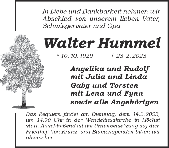 Traueranzeige von Walter Hummel von Gelnhäuser Neue Zeitung