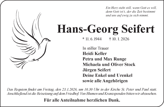 Traueranzeige von Hans-Georg Seifert von Gelnhäuser Neue Zeitung